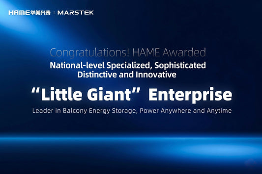 HAME Honored as National-level Specialized, Sophisticated, Distinctive, and Innovative “Little Giant” Enterprise with Core Strength